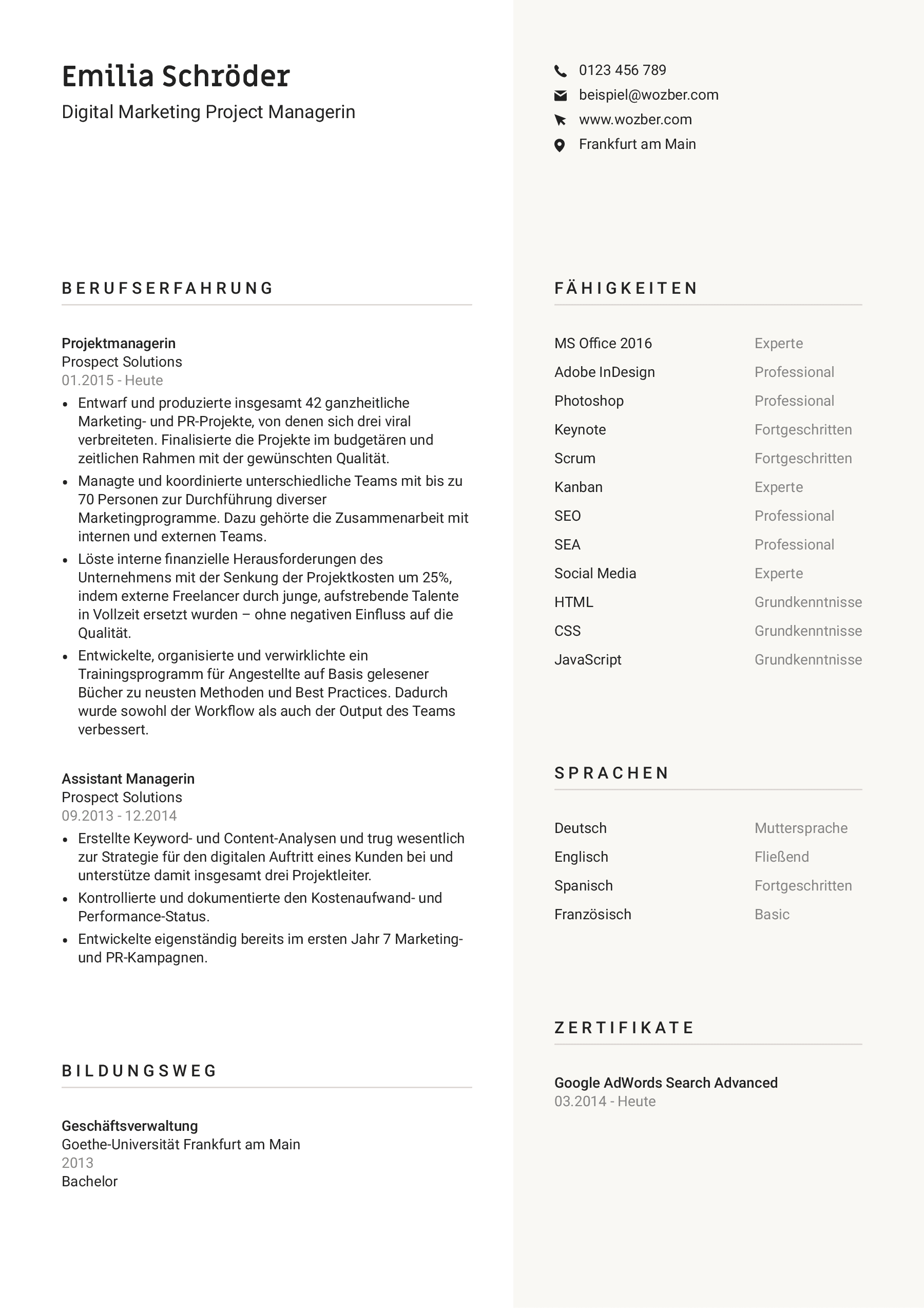 Beispielhafter Lebenslauf einer Digital Marketing Project Managerin