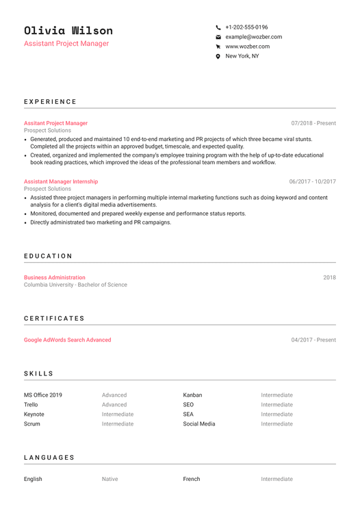 Assistant Project Manager CV Example