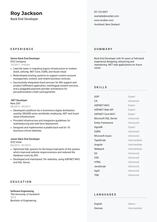 Modern resume example for Back End Developer position
