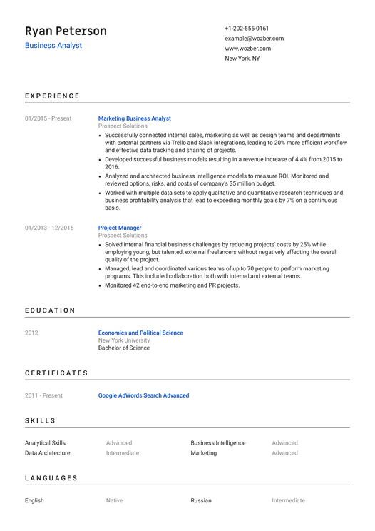 Business Analyst CV Example