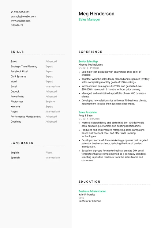 Modern resume example for Sales Manager position