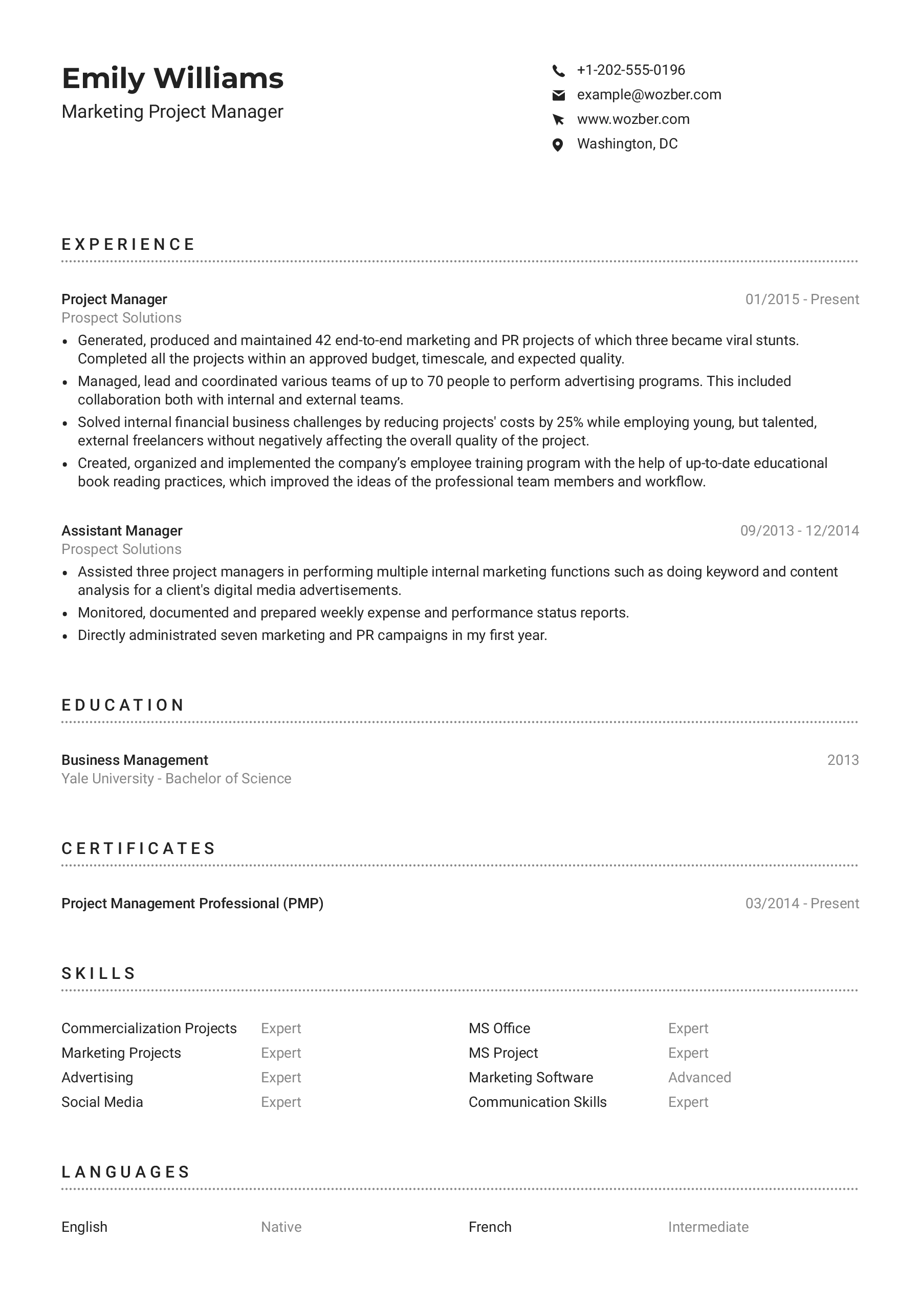 Modern resume example for Digital Marketing Project Manager 3 position