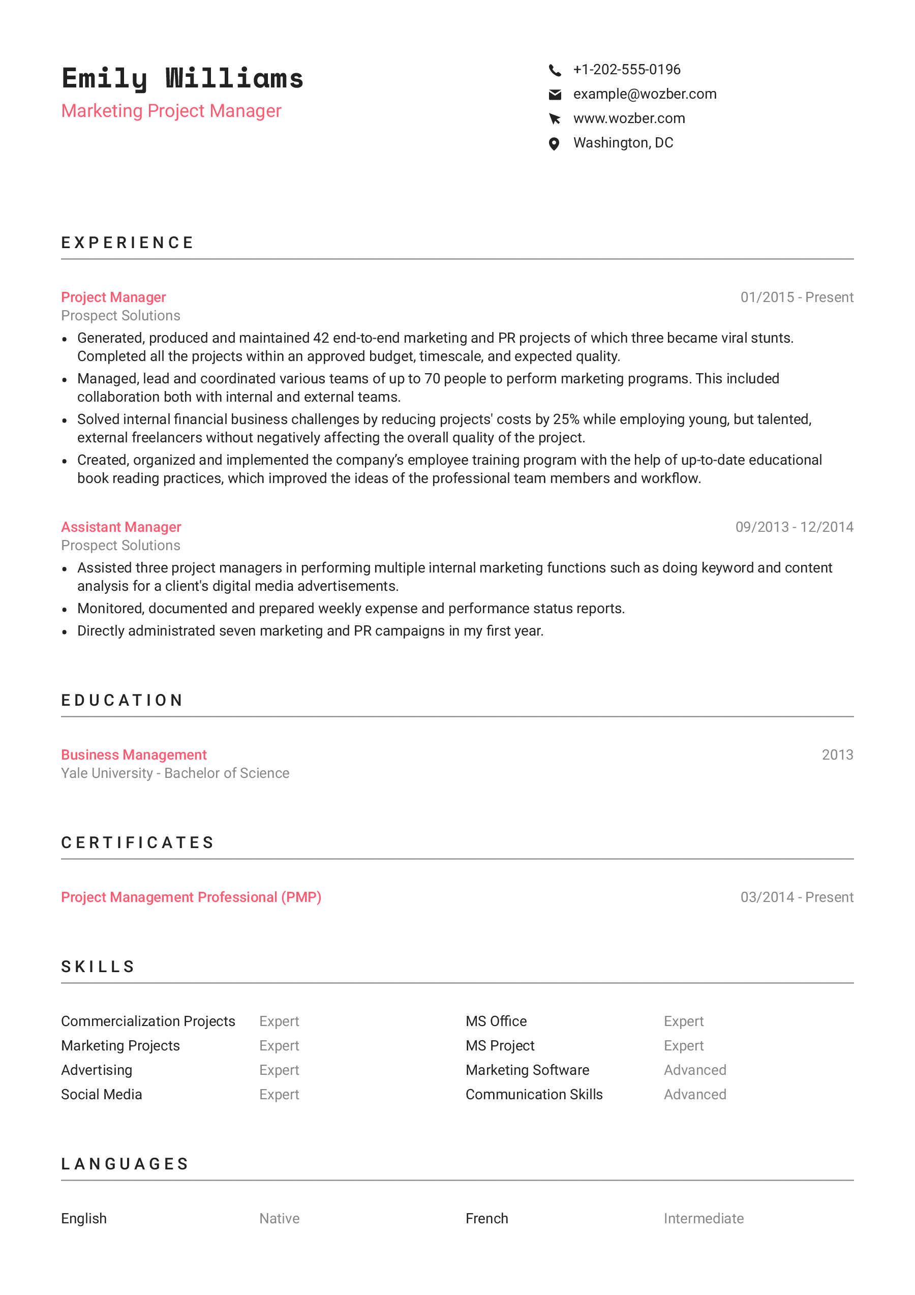 Modern resume example for Digital Marketing Project Manager 4 position