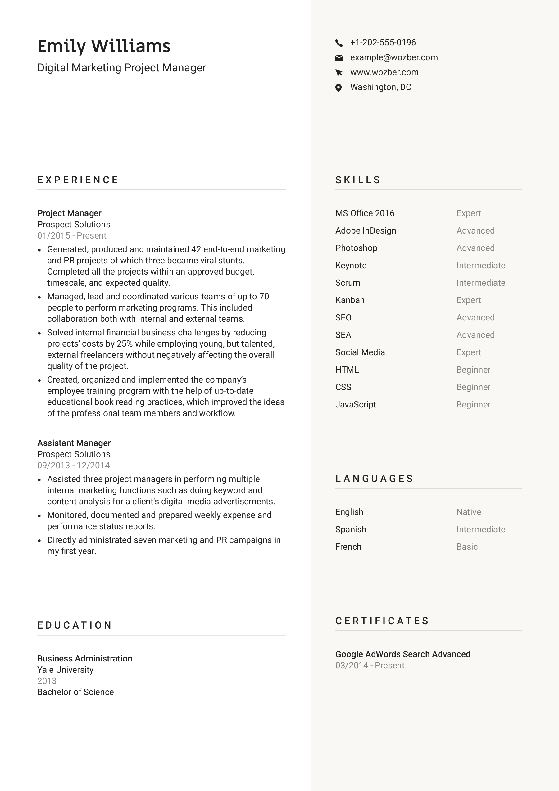 Modern resume example for Digital Marketing Project Manager position