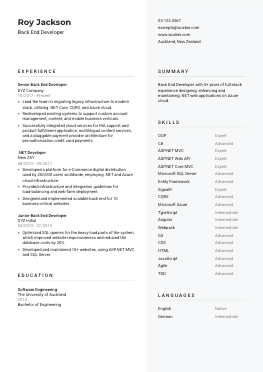 Modern resume example for Back End Developer position