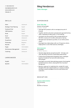 Modern resume example for Sales Manager position
