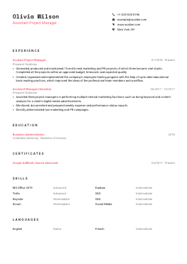 Modern resume example for Assistant Project Manager position