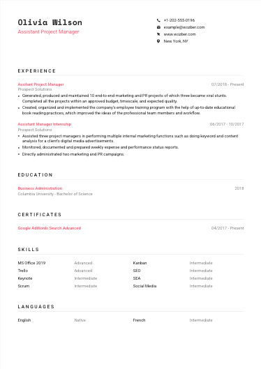 Modern resume example for Assistant Project Manager position
