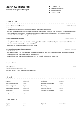Modern resume example for Business Development Manager position
