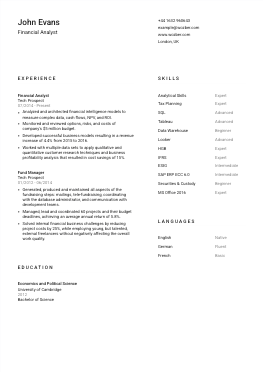 Modern resume example for Financial Analyst position