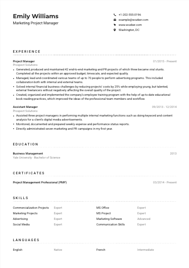 Modern resume example for Digital Marketing Project Manager 3 position