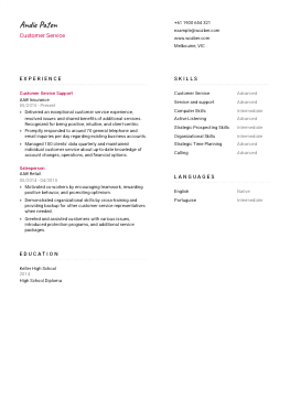 Modern resume example for Customer Service position