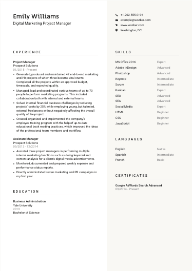 Modern resume example for Digital Marketing Project Manager position