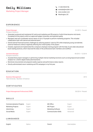 ATS CV Format Example