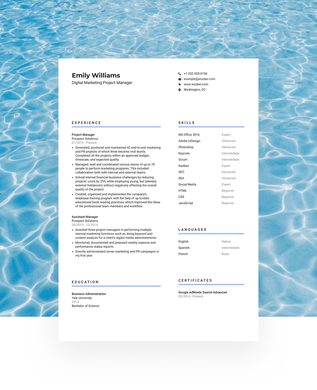 A playful, two-column CV template for professionals with a dynamic personality.