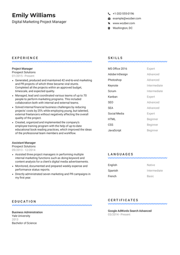 Free Resume Template #10