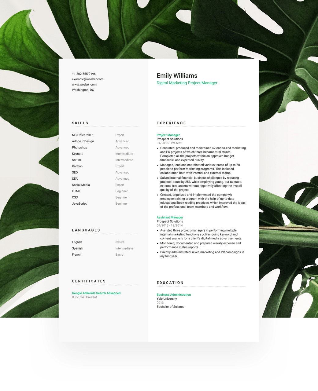 A modern two-column resume template for those who prefer an attractive appearance.