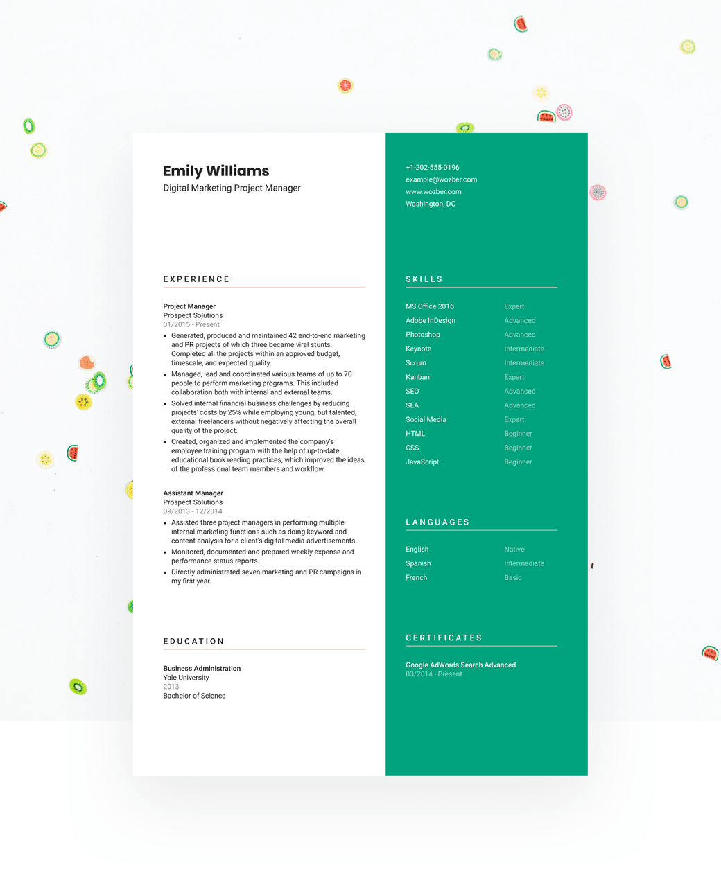 Free Resume Template 16 Wozber