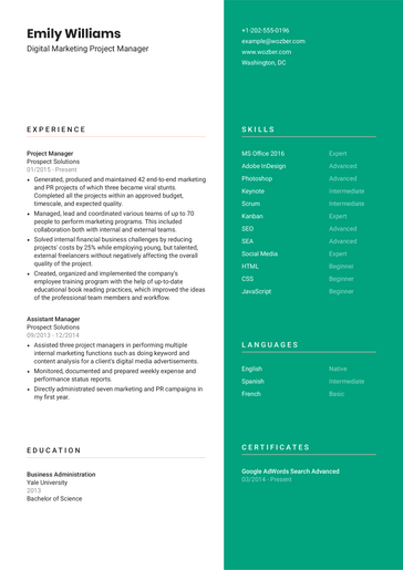 Free Resume Template #16