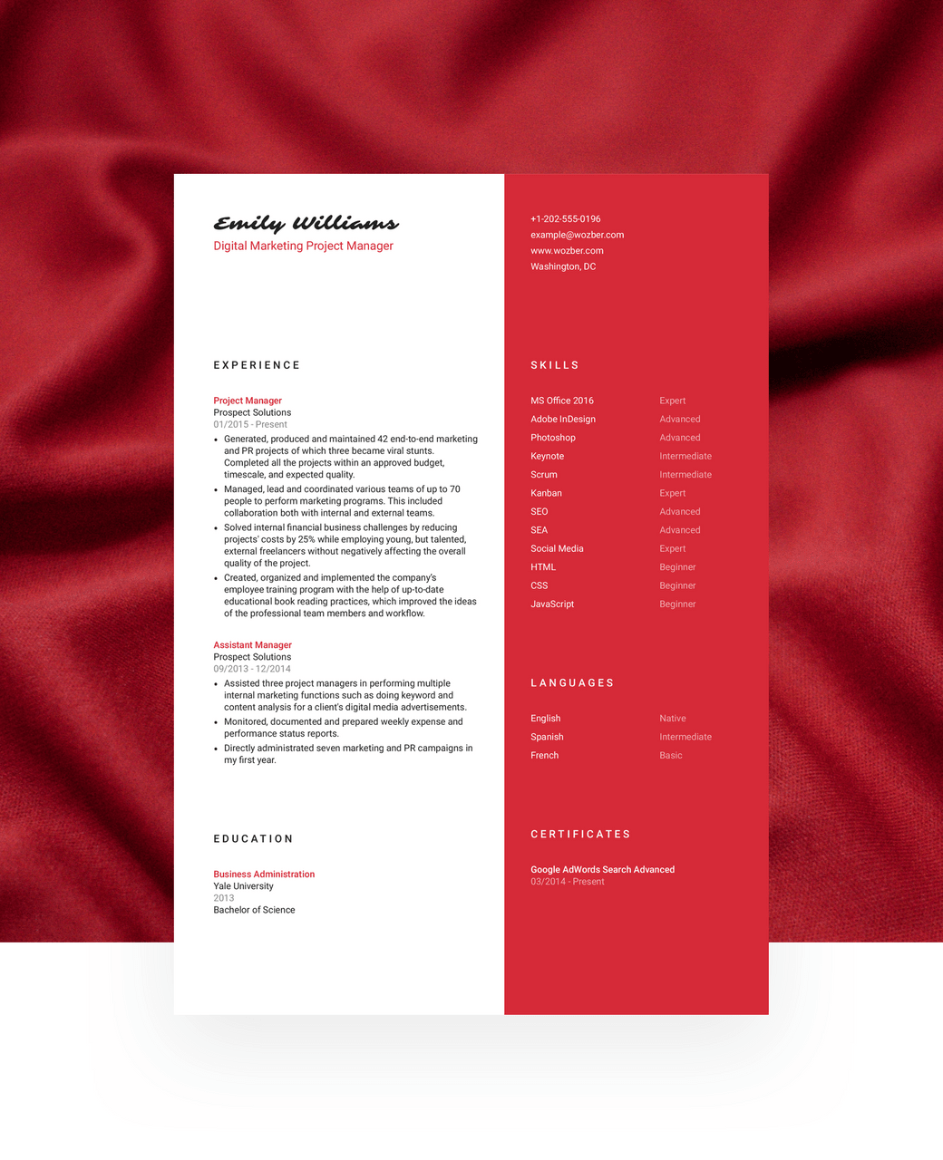 An elegant, single-coloured, two-column CV template for those in the spotlight.