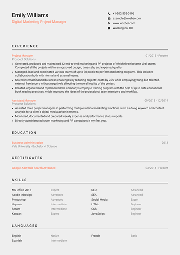 Free CV Template #23