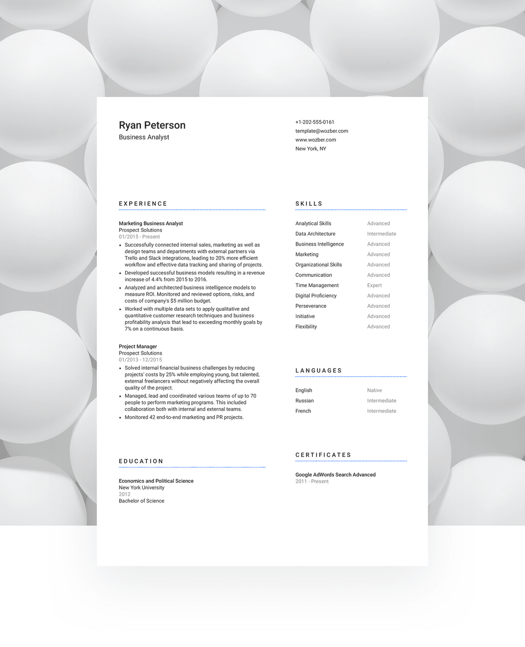 A professional CV template with a solid-looking design.
