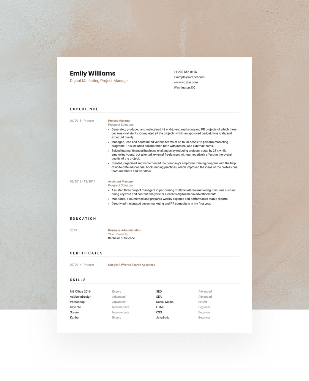 An ATS-friendly CV template with a classic, clean design.