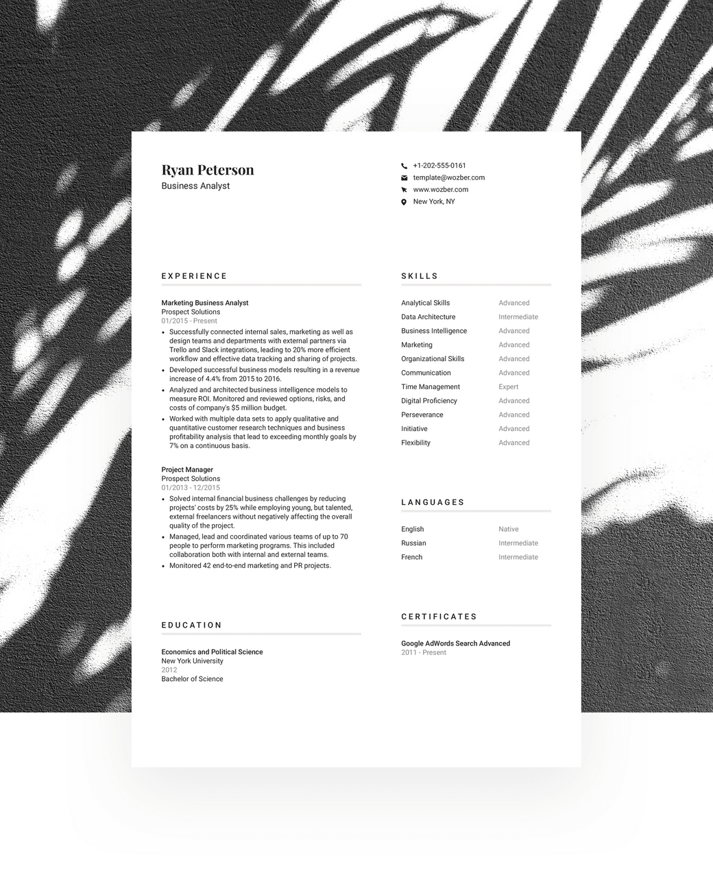 A professional, solid CV template with a two-column layout.