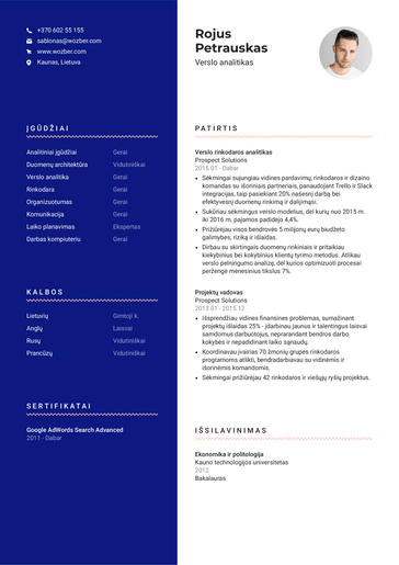 Nemokamas CV šablonas #21