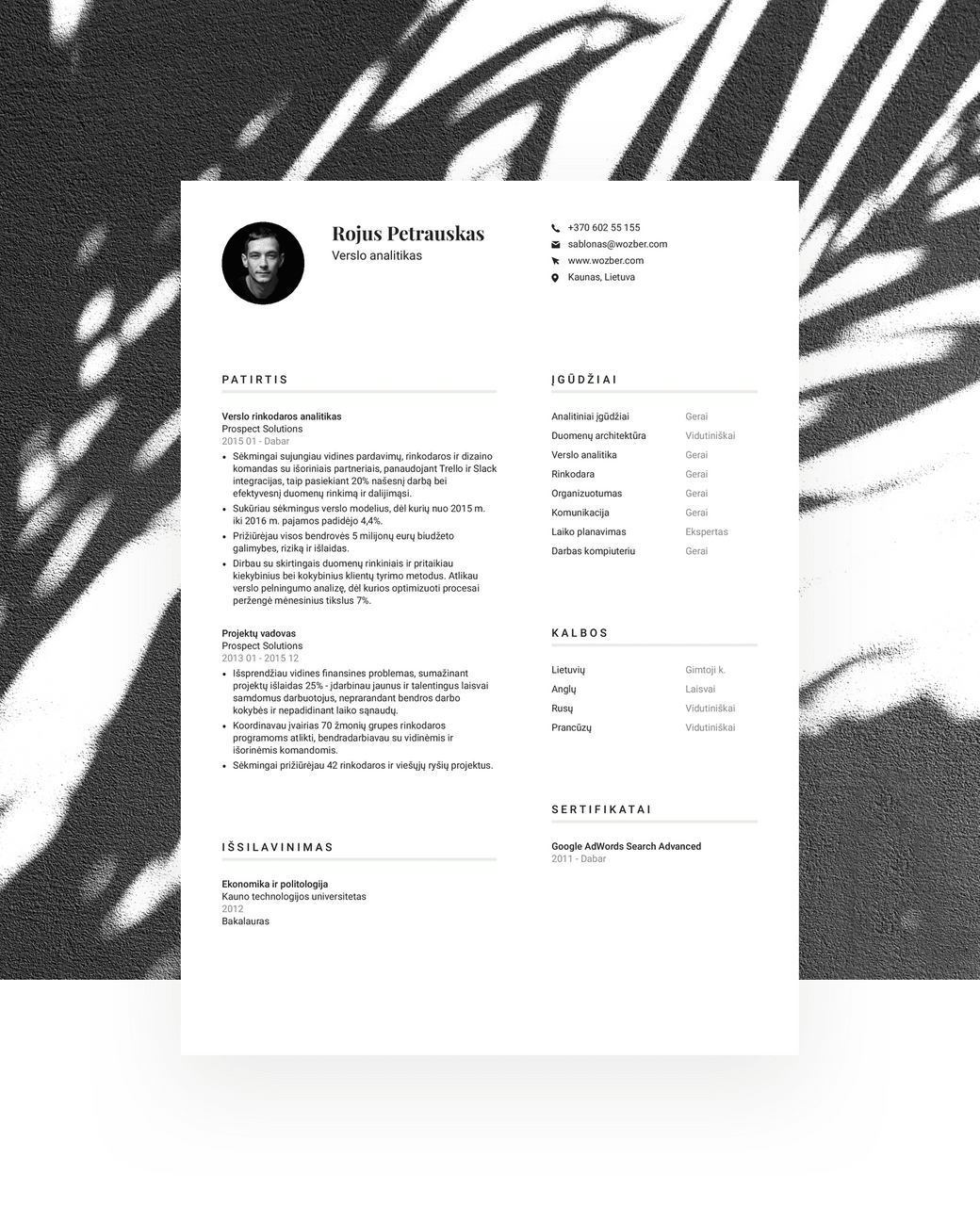 Profesionalus bei solidus CV šablonas su dviejų stulpelių išdėstymu.