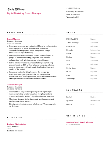 Free CV Template #11