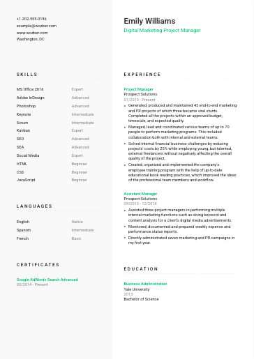 Free CV Template #14