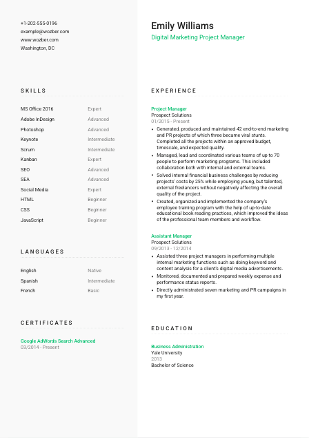 Free CV Template #14