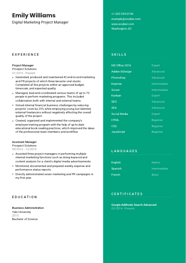 Free CV Template #16