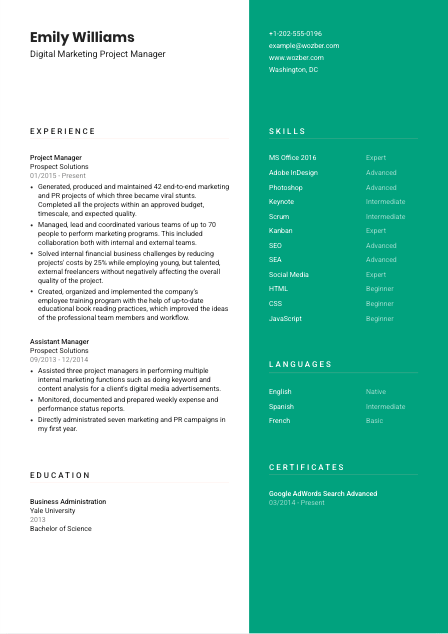 Free Resume Template #16