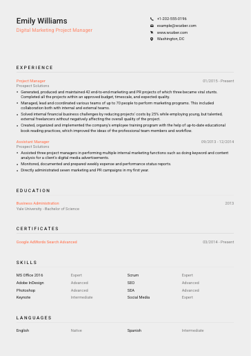 Free CV Template #23